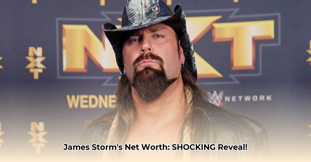 james-storm-wrestling-career-earnings